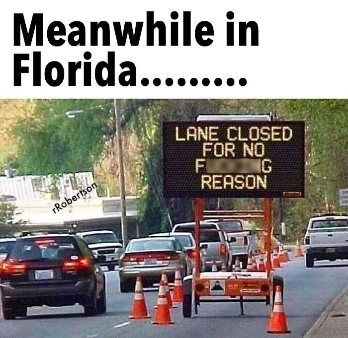 Wait, You Won't Believe These Wild Florida Moments!