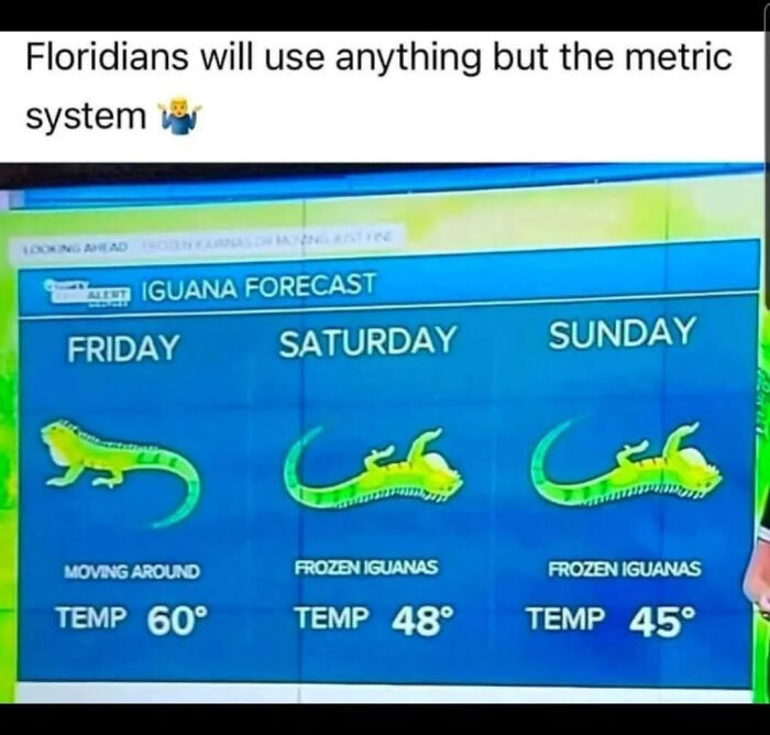 Wait, You Won't Believe These Wild Florida Moments!