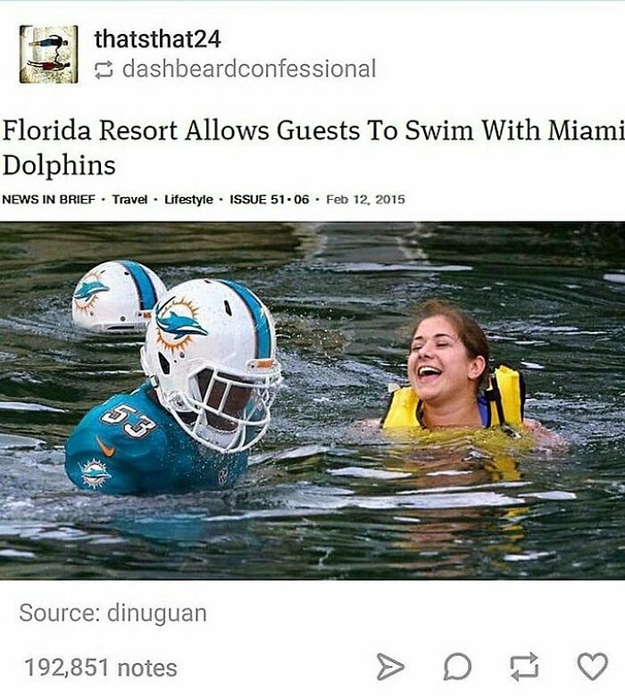 Wait, You Won't Believe These Wild Florida Moments!