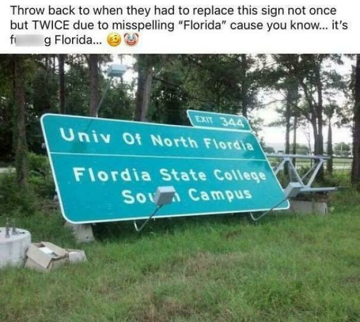Wait, You Won't Believe These Wild Florida Moments!