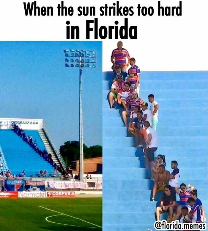 Wait, You Won't Believe These Wild Florida Moments!