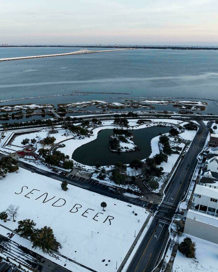 Wait, You Won't Believe These Wild Florida Moments!