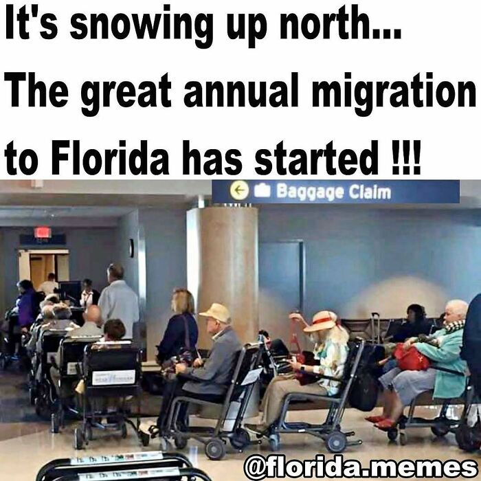 Wait, You Won't Believe These Wild Florida Moments!