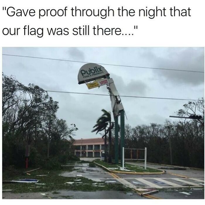 Wait, You Won't Believe These Wild Florida Moments!