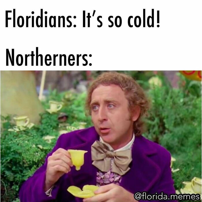 Wait, You Won't Believe These Wild Florida Moments!
