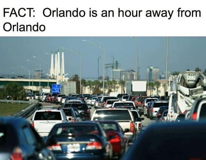Wait, You Won't Believe These Wild Florida Moments!