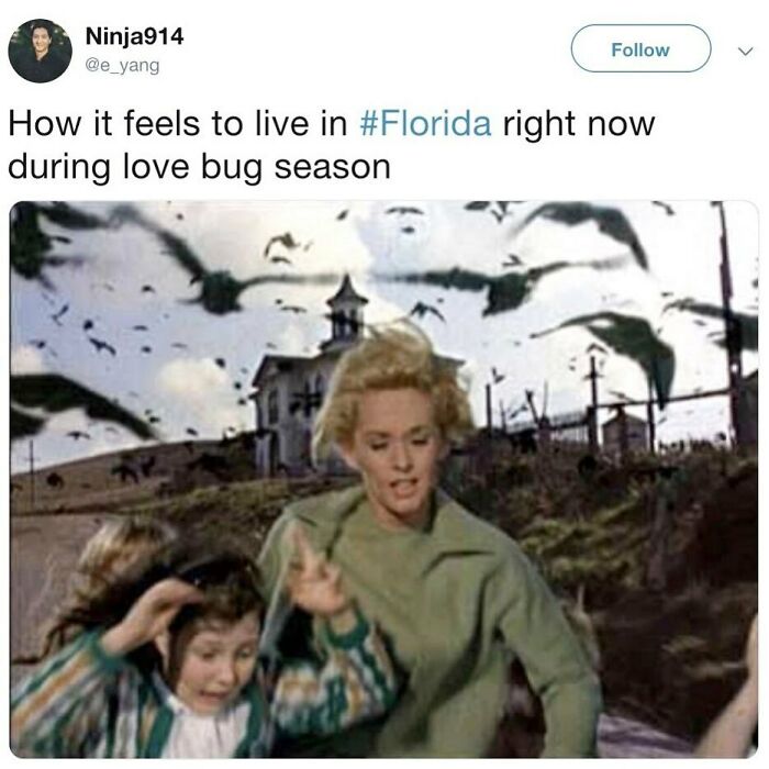 Wait, You Won't Believe These Wild Florida Moments!