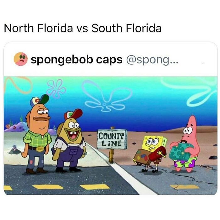 Wait, You Won't Believe These Wild Florida Moments!