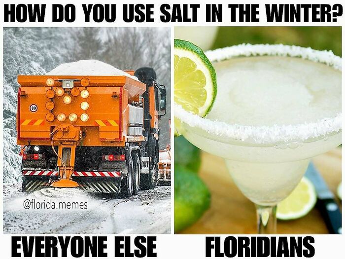 Wait, You Won't Believe These Wild Florida Moments!