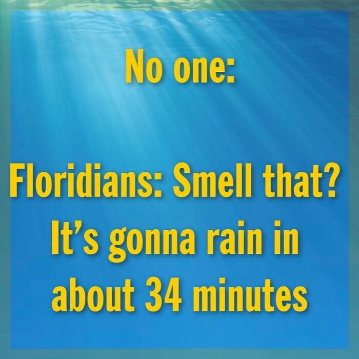 Wait, You Won't Believe These Wild Florida Moments!