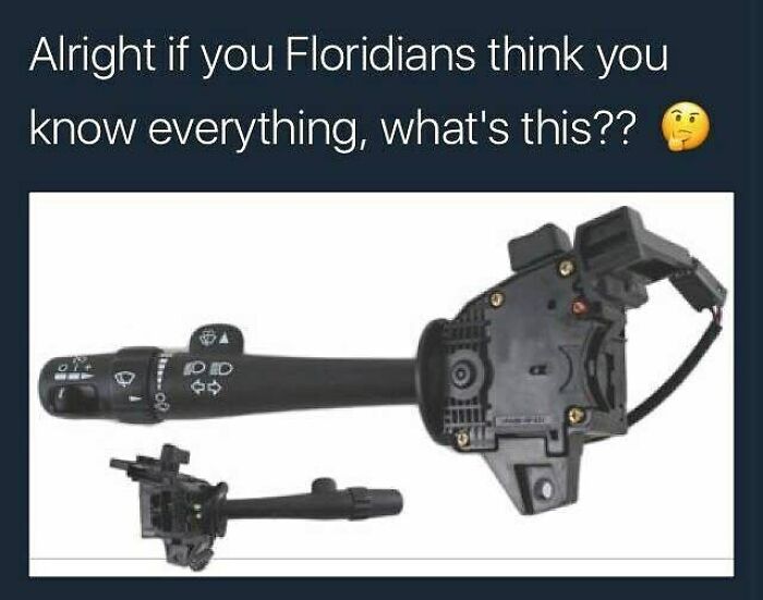 Wait, You Won't Believe These Wild Florida Moments!