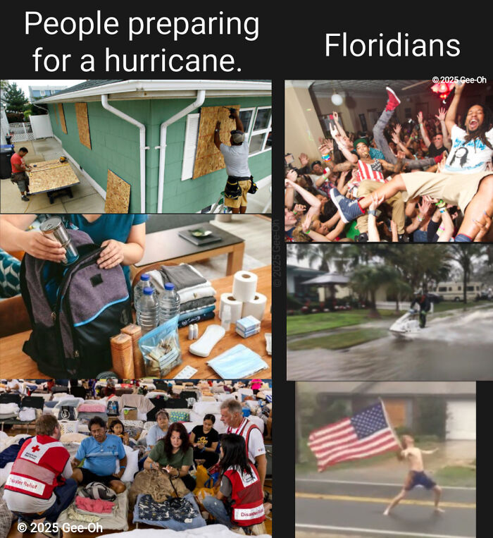Wait, You Won't Believe These Wild Florida Moments!