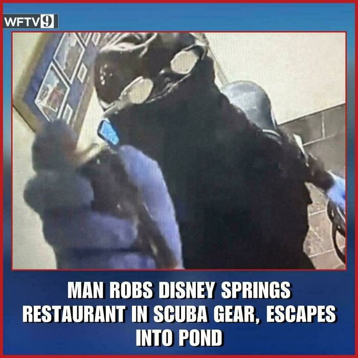 Wait, You Won't Believe These Wild Florida Moments!
