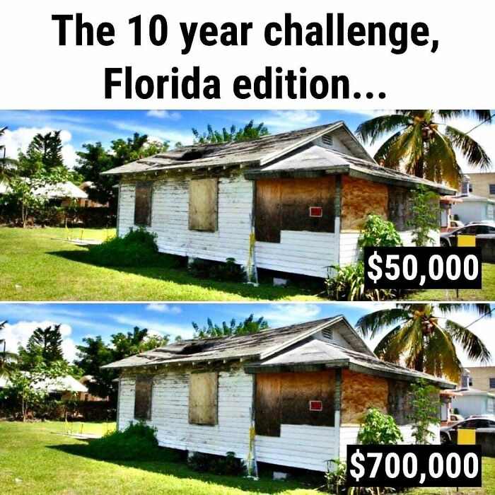 Wait, You Won't Believe These Wild Florida Moments!