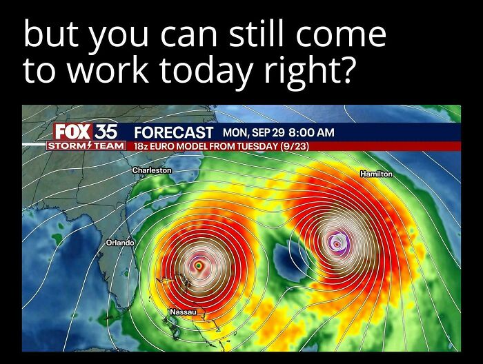 Wait, You Won't Believe These Wild Florida Moments!