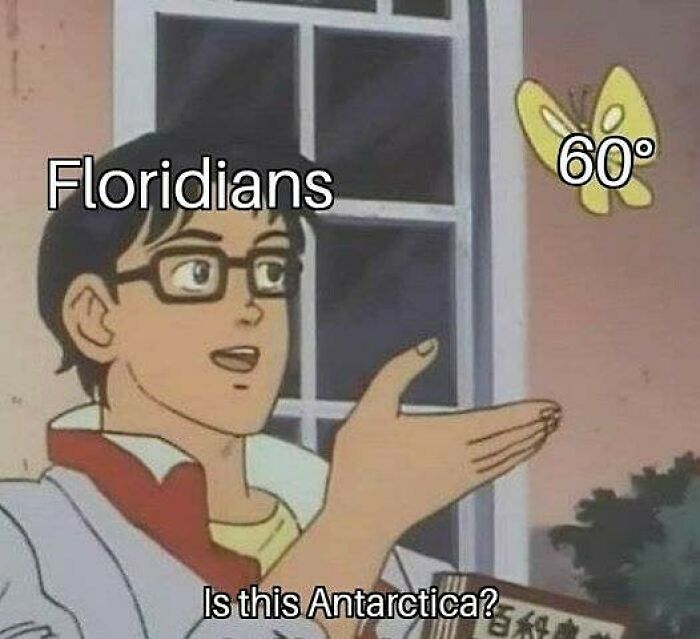 Wait, You Won't Believe These Wild Florida Moments!