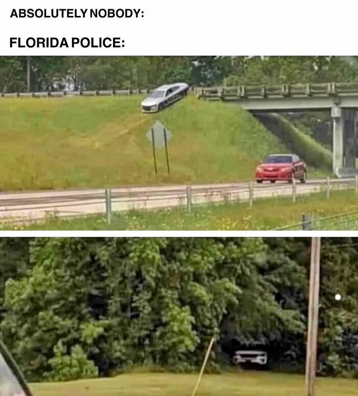 Wait, You Won't Believe These Wild Florida Moments!