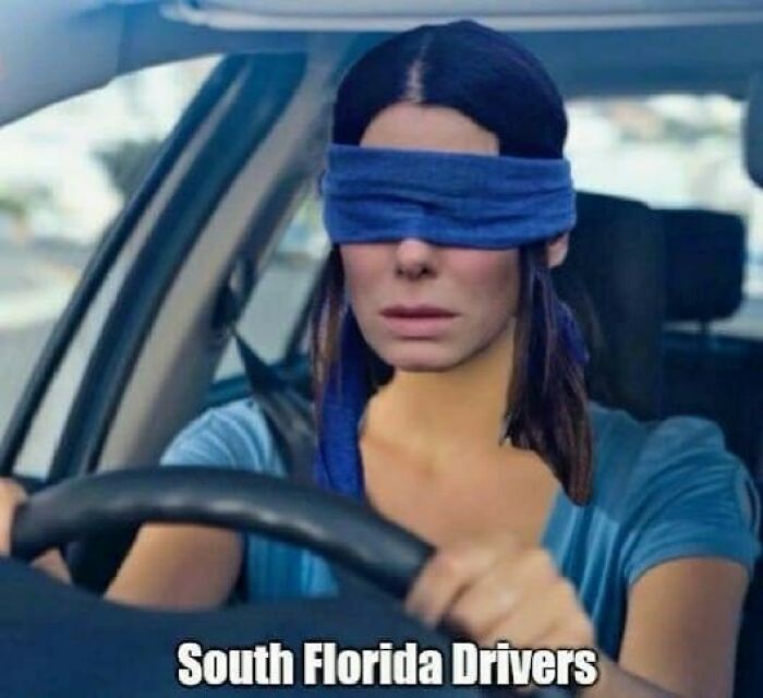 Wait, You Won't Believe These Wild Florida Moments!