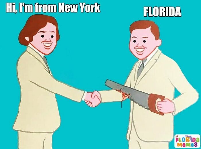 Wait, You Won't Believe These Wild Florida Moments!