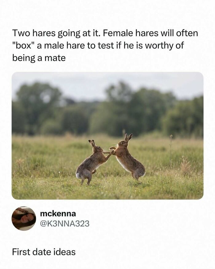 Wait, They Actually Ranked That?! Check Out 65 Hilarious Memes That Totally Made Us LOL