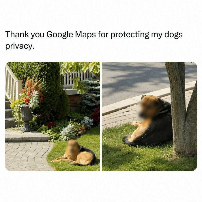 Wait, They Actually Ranked That?! Check Out 65 Hilarious Memes That Totally Made Us LOL