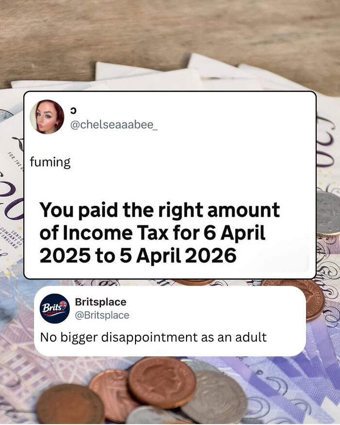 Wait, The Brits Actually Nailed Humor Like This?!