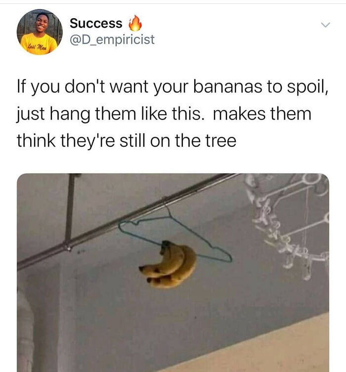 Wait, The Brits Actually Nailed Humor Like This?!