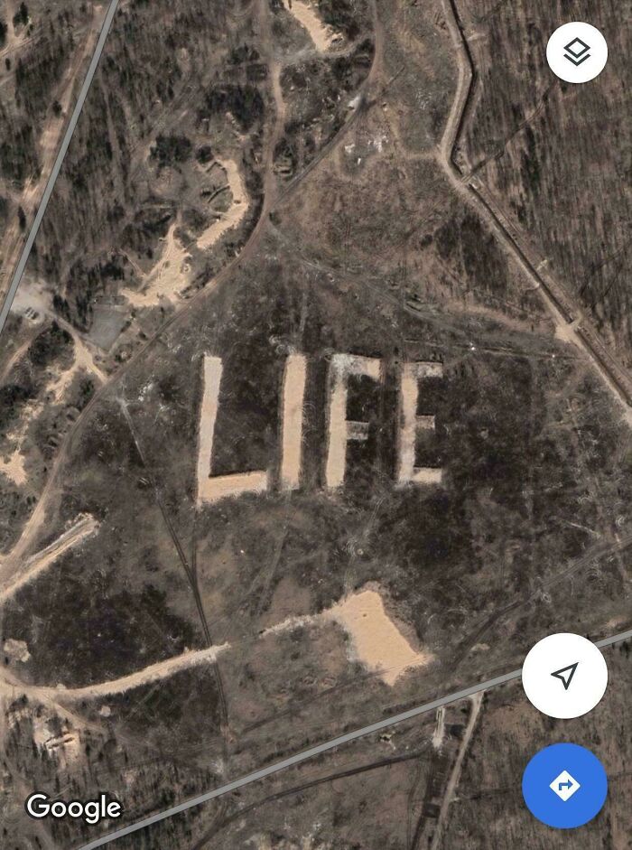 Life: Pixelated And Puzzling