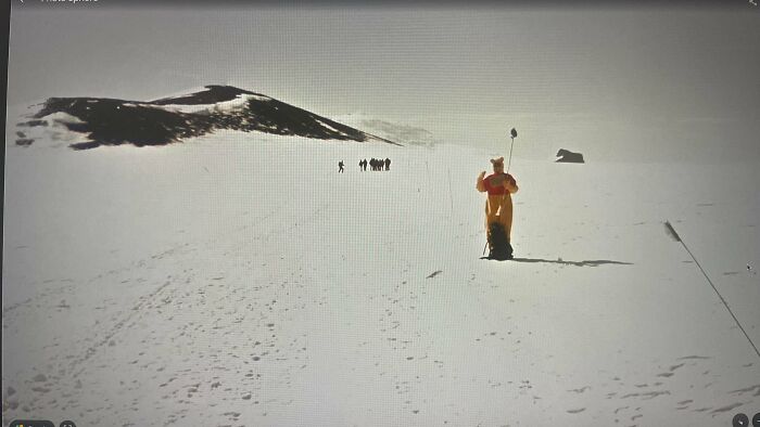 Winnie The Pooh Hanging Out At The South Pole?
