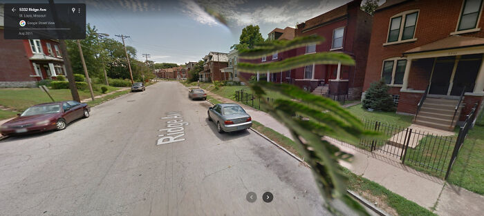 Tree Branch Got Stuck On Street View Camera In St. Louis — Blocks The View!