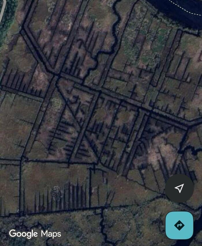 What’s Up With This Network Of Channels In A River In Northern Florida?