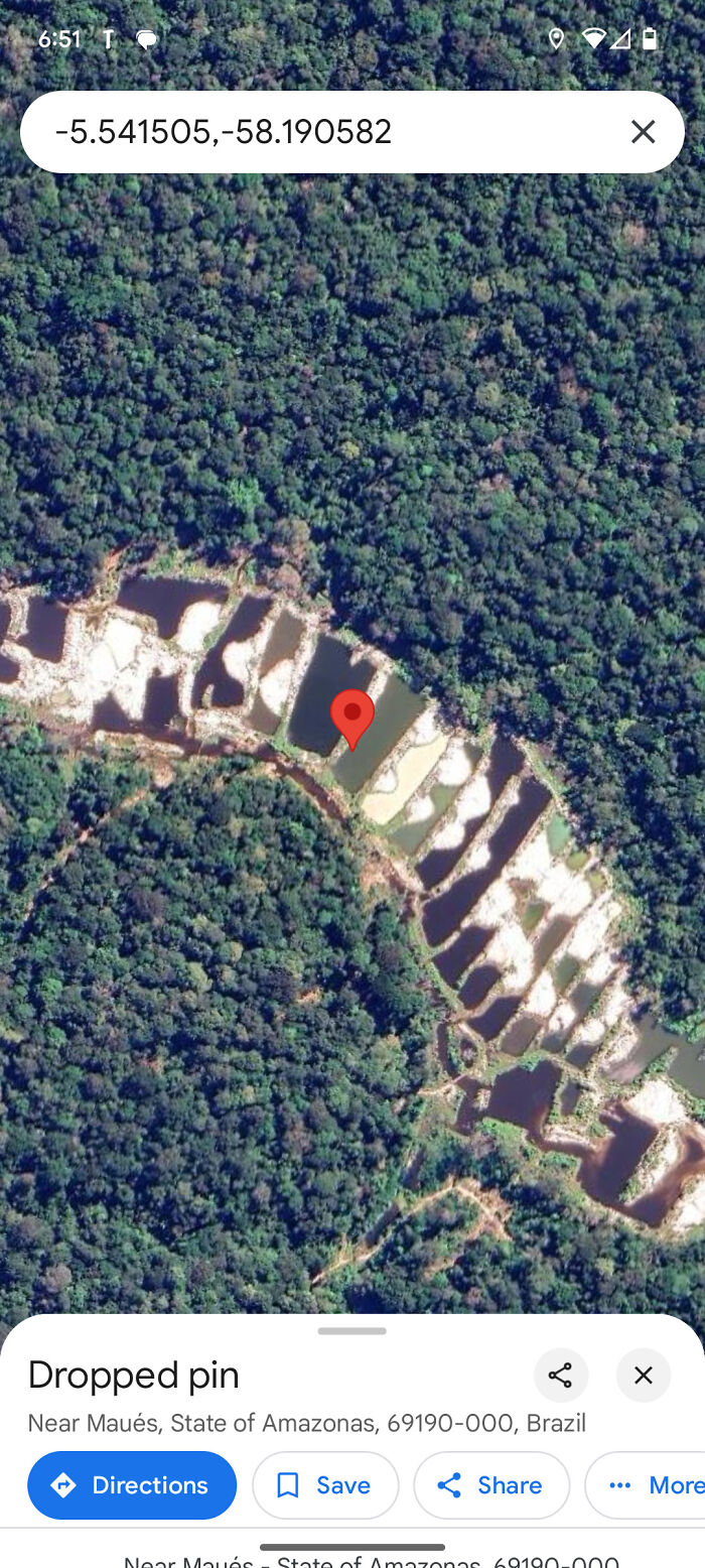 Terraces Deep In The Amazon – What Are They?