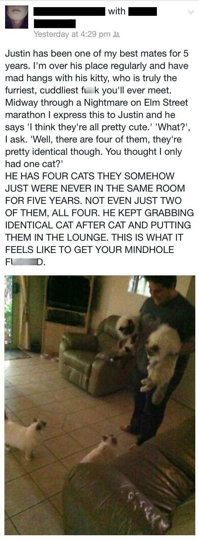 The Tale Of The Guy With Five Nearly Identical Cats Who Confused His Friend