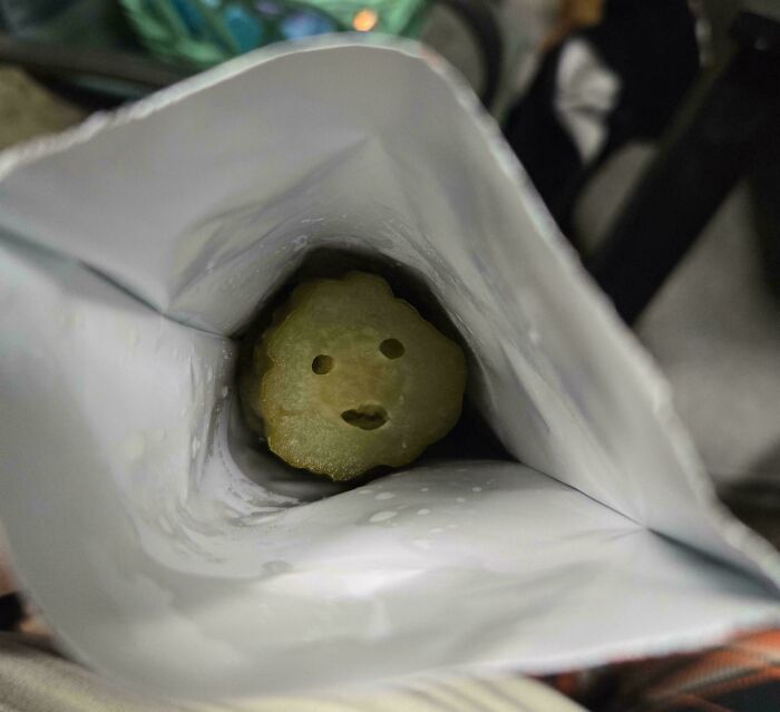 Opened a Pickle Jar to This Huge Lone Pickle – Surprise!