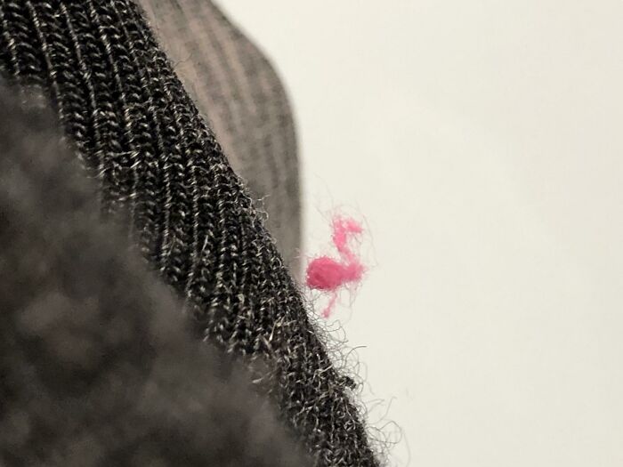 The Fuzz on My Sock Looks Exactly Like a Flamingo!