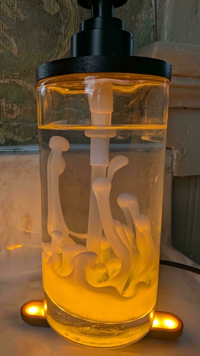 Mixed Clear and Opaque Soap and Accidentally Made an Insta-Lava Lamp