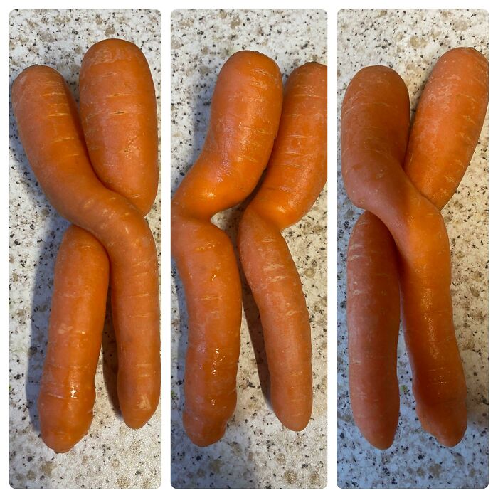 Two Carrots Twisted Together Like Besties
