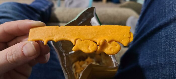 Found an Edge Piece in My Bag of Goldfish – Game On!