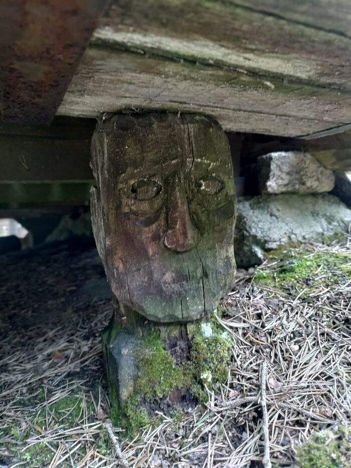 Statues Hide Underneath a 70-Year-Old House – Secret Collection!