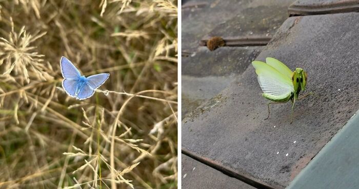 Nature’s Cutest Photobombs That’ll Totally Brighten Your Day