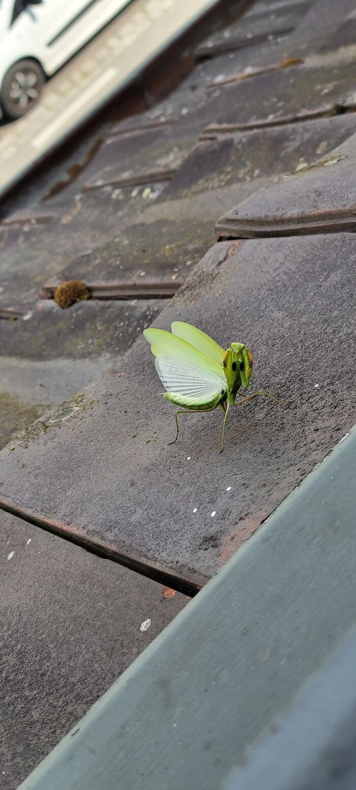 Nature’s Cutest Photobombs That’ll Totally Brighten Your Day