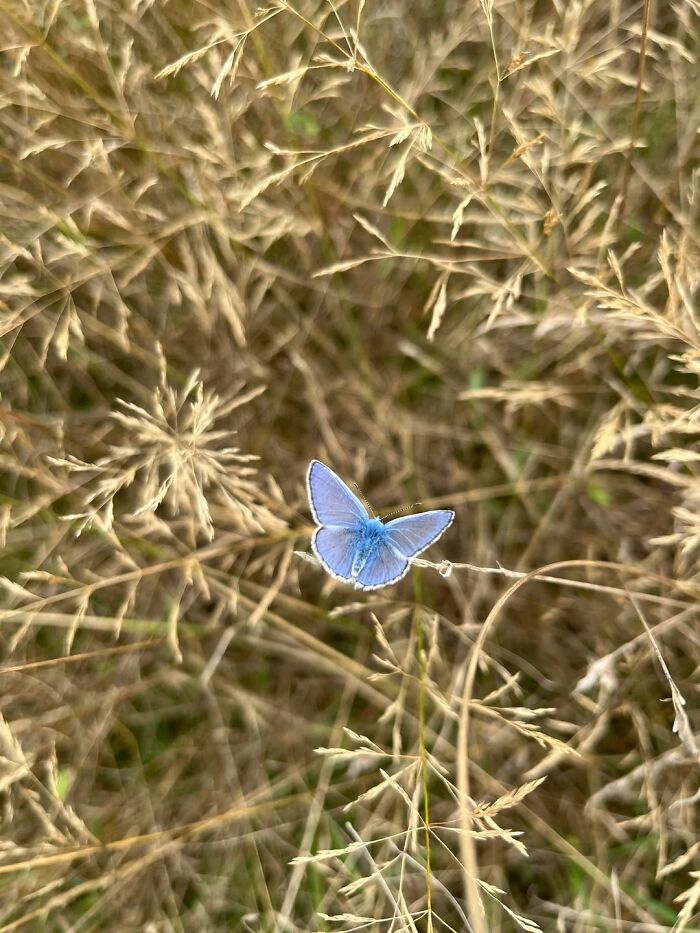 Nature’s Cutest Photobombs That’ll Totally Brighten Your Day