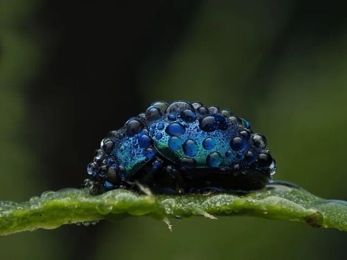 Nature’s Cutest Photobombs That’ll Totally Brighten Your Day