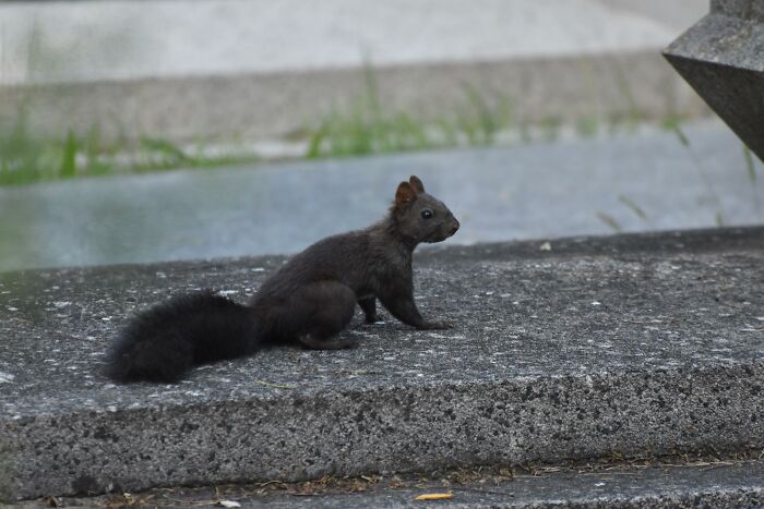 Nature’s Cutest Photobombs That’ll Totally Brighten Your Day