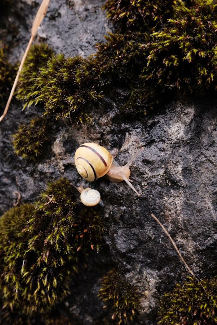 Nature’s Cutest Photobombs That’ll Totally Brighten Your Day