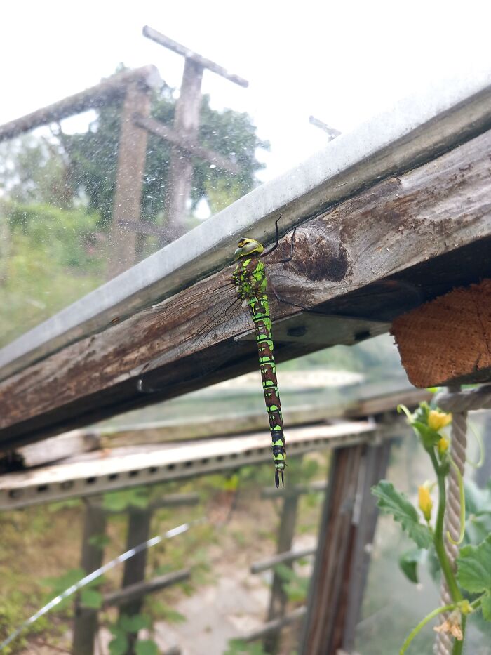 Nature’s Cutest Photobombs That’ll Totally Brighten Your Day