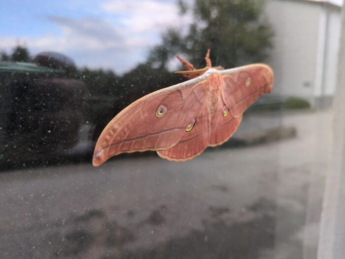 Nature’s Cutest Photobombs That’ll Totally Brighten Your Day
