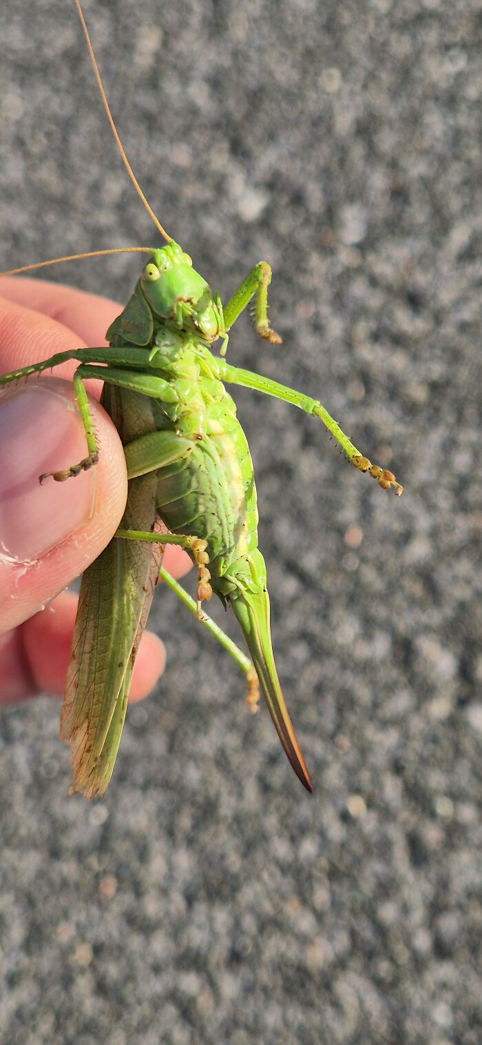 Nature’s Cutest Photobombs That’ll Totally Brighten Your Day