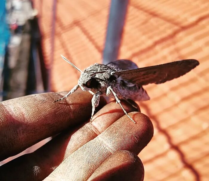 Nature’s Cutest Photobombs That’ll Totally Brighten Your Day