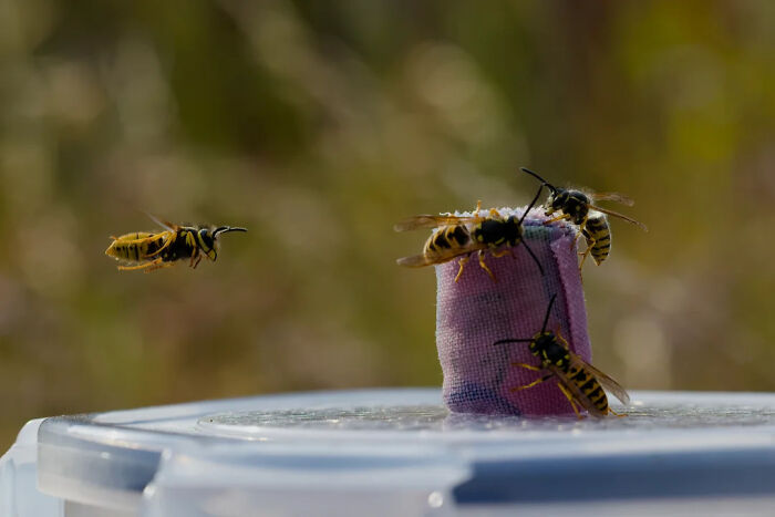 Nature’s Cutest Photobombs That’ll Totally Brighten Your Day
